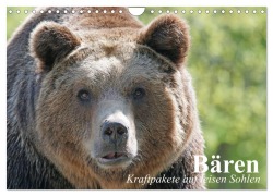 Bären. Kraftpakete auf leisen Sohlen (Wandkalender 2025 DIN A4 quer), CALVENDO Monatskalender - Elisabeth Stanzer