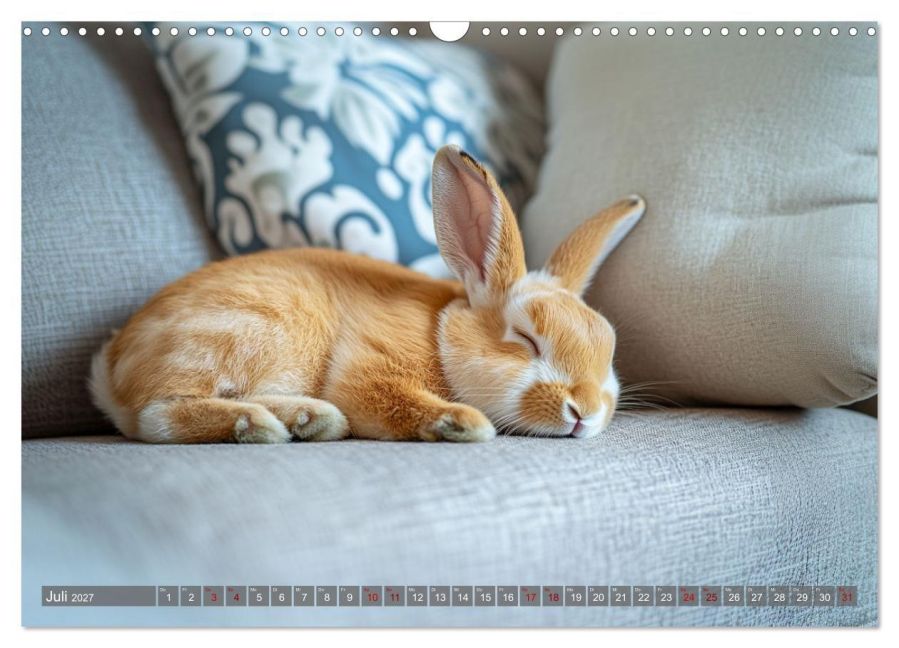 InsideView 12