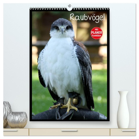 Raubvögel (hochwertiger Premium Wandkalender 2025 DIN A2 hoch), Kunstdruck in Hochglanz - Arno Klatt