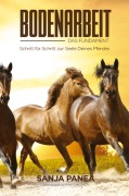Cover-Bild zum Titel 'Bodenarbeit - Das Fundament' von 'Sanja Panea'