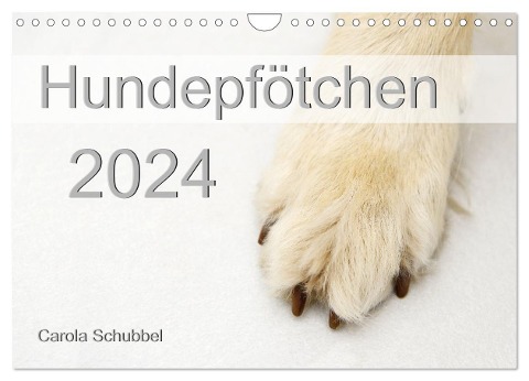 Hundepfötchen (Wandkalender 2024 DIN A4 quer), CALVENDO Monatskalender - Carola Schubbel