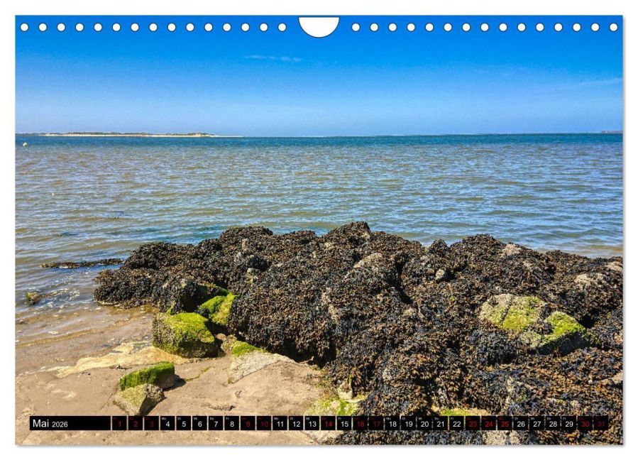 InsideView 10