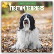 Cover-Bild zum Titel 'Tibetan Terriers - Tibet Terrier 2027 - 16-Monatskalender' von 'Robin Red'
