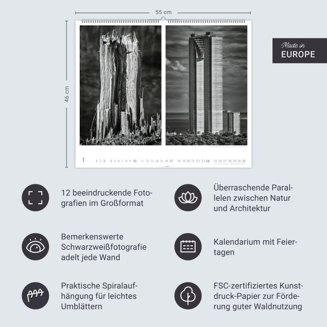 InsideView 13