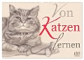 Von Katzen lernen (Wandkalender 2025 DIN A2 quer), CALVENDO Monatskalender - Dany'S Kunst & Design