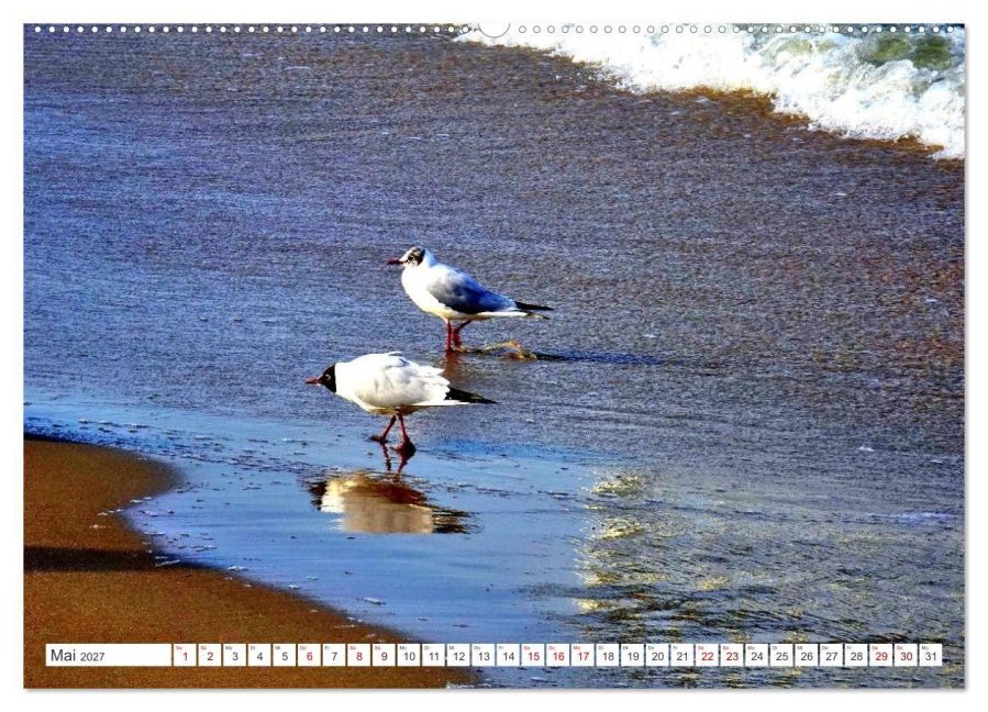 InsideView 10