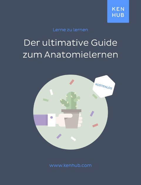 Der ultimative Guide zum Anatomie lernen - 