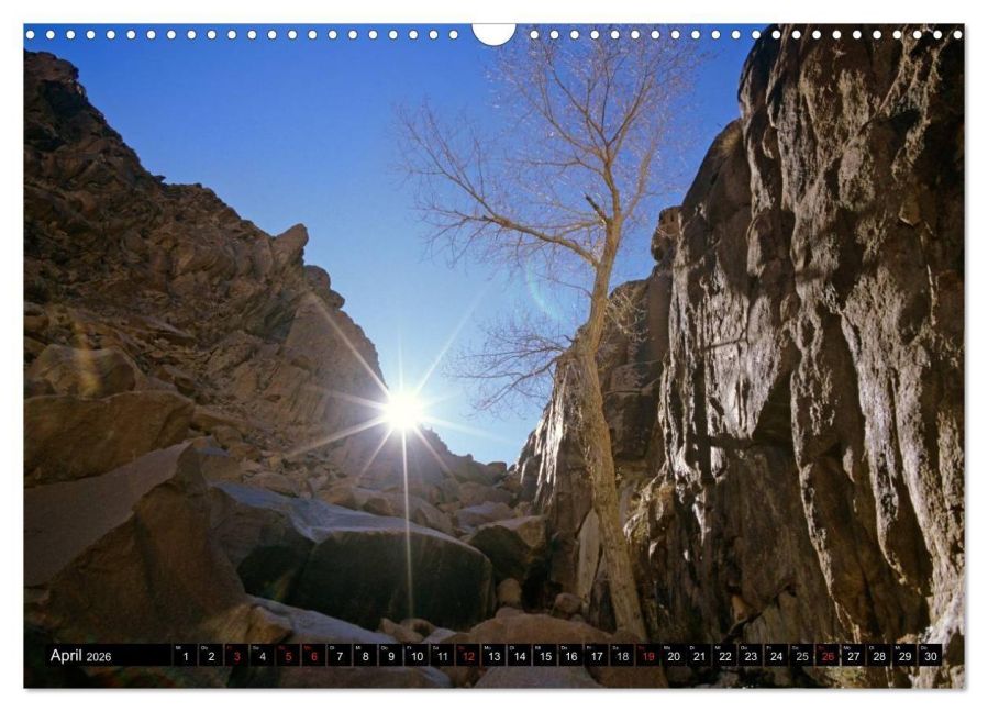 InsideView 6