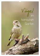 Cover-Bild zum Titel 'Vögel im heimischen Garten (Wandkalender 2026 DIN A2 hoch), CALVENDO Monatskalender' von 'Heidi Spiegler'