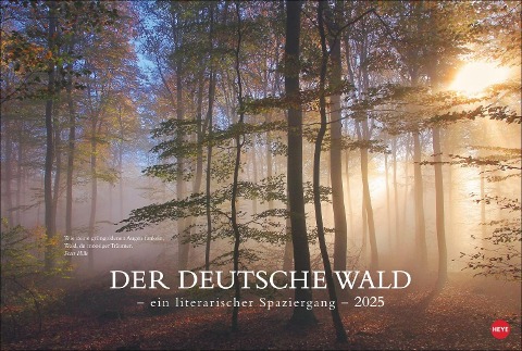Der deutsche Wald - Ein literarischer Spaziergang Kalender 2025 - Ein literarischer Spaziergang - 