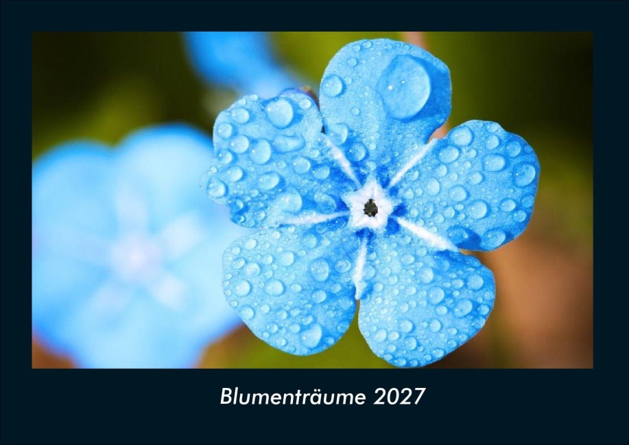 Blumenträume 2027 Fotokalender DIN A4 - Tobias Schmitt, Kevin Heber
