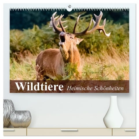 Wildtiere. Heimische Schönheiten (hochwertiger Premium Wandkalender 2024 DIN A2 quer), Kunstdruck in Hochglanz - Elisabeth Stanzer