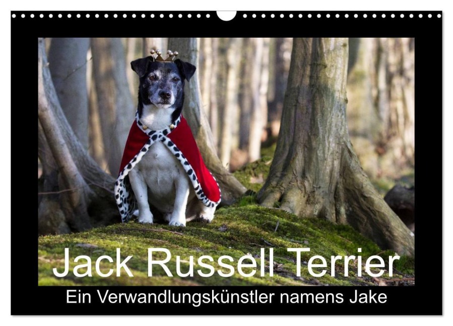 Jack Russell Terrier.....Ein Verwandlungskünstler namens Jake (Wandkalender 2026 DIN A3 quer), CALVENDO Monatskalender - AWS S. J. Schröder Schröder