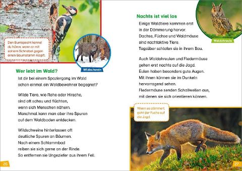InsideView 3