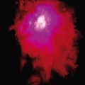 Cover-Bild zum Titel 'Up The Downstair (Digipak)' von 'Porcupine Tree'