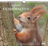 Cover-Bild zum Titel 'Geliebte Eichhörnchen 2026 - DUMONT Wandkalender - mit den wichtigsten Feiertagen - Format 38,0 x 35,5 cm' von ''