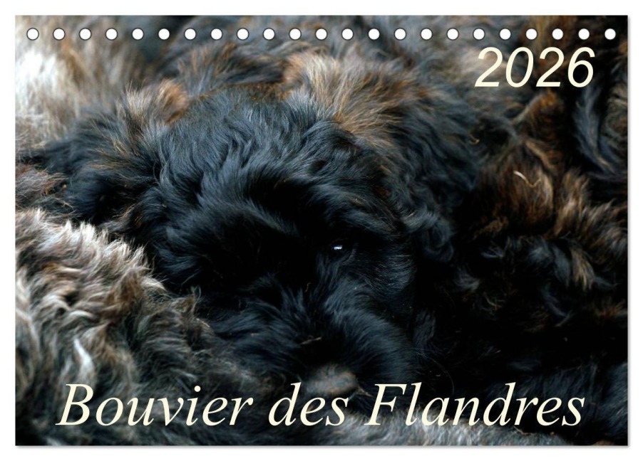 Bouvier des Flandres (Tischkalender 2026 DIN A5 quer), CALVENDO Monatskalender - Susan Milau