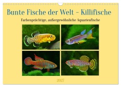 Cover-Bild zum Titel 'Bunte Fische der Welt - Killifische (Wandkalender 2027 DIN A3 quer), CALVENDO Monatskalender' von 'Rudolf Pohlmann'