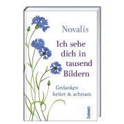 Cover-Bild zum Titel 'Ich sehe dich in tausend Bildern' von 'Novalis'