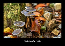 Cover-Bild zum Titel 'Pilzkalender 2026 Fotokalender DIN A3' von 'Tobias Becker'