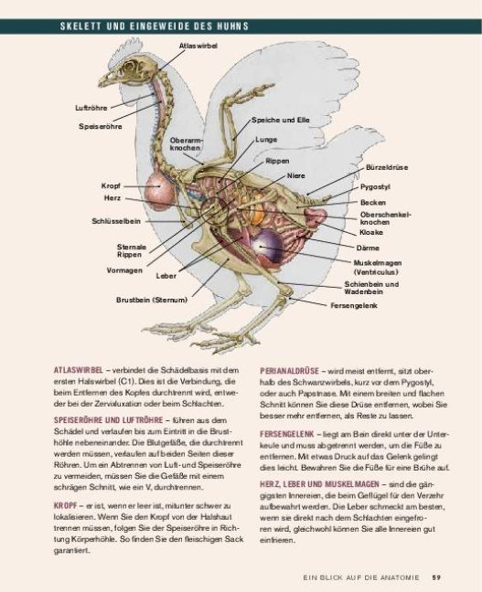 InsideView 3