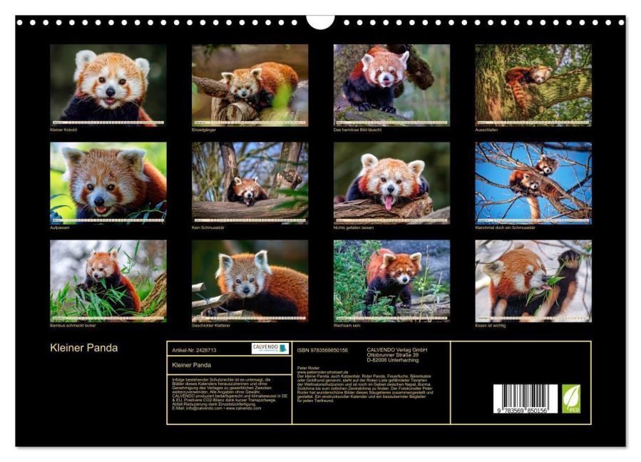 InsideView 5