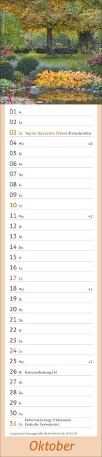InsideView 10