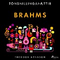 Cover-Bild zum Titel 'Tónsnillingaþættir: Brahms' von 'Theódór Árnason'