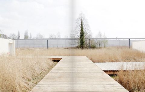 InsideView 7
