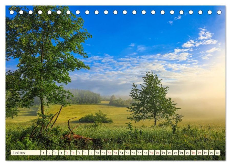 InsideView 11