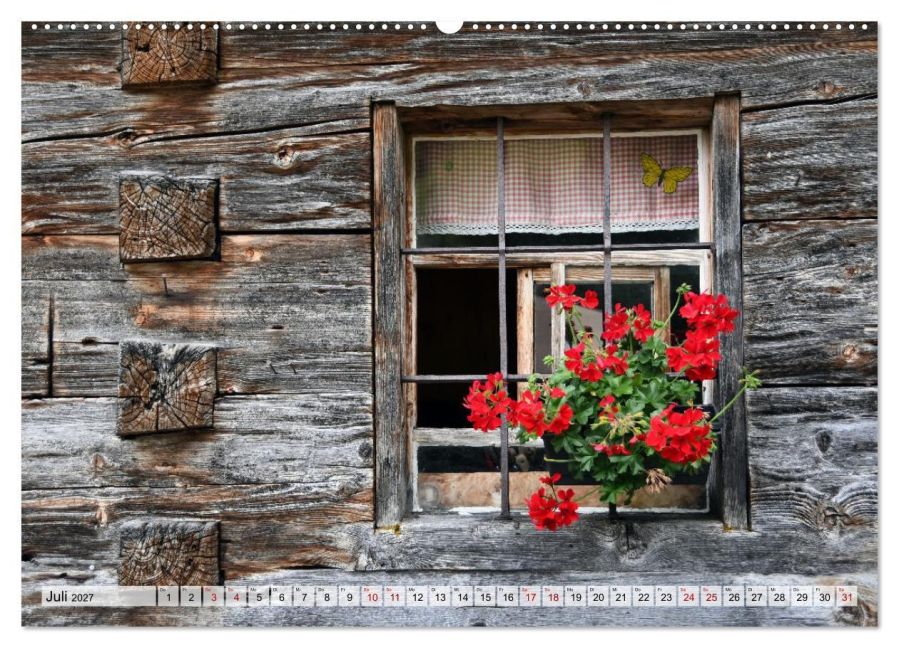 InsideView 11