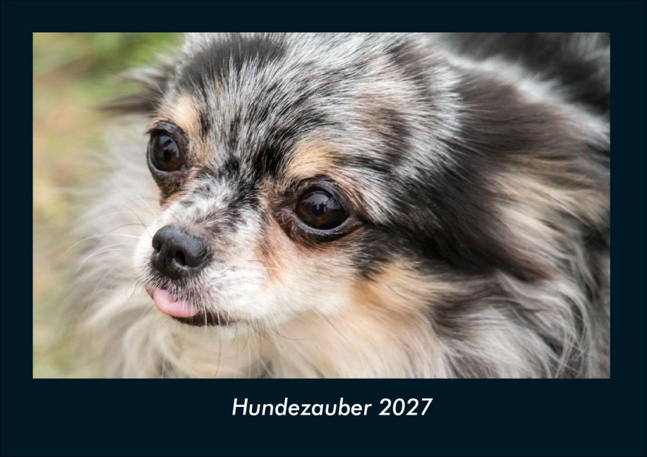 Hundezauber 2027 Fotokalender DIN A4 - Tobias Schmitt, Kevin Heber