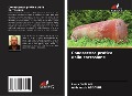 Cover-Bild zum Titel 'Conoscenza pratica della corrosione' von 'Laala Ghelani, Abdelaaziz Abboudi'
