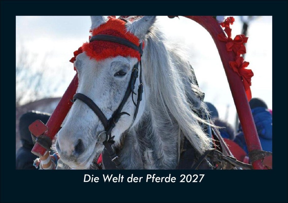 Die Welt der Pferde 2027 Fotokalender DIN A5 - Tobias Schmitt, Kevin Heber