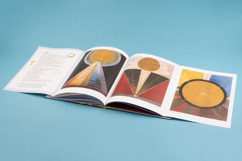 InsideView 7