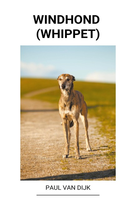 Windhond (Whippet) - Paul van Dijk