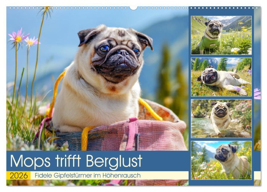 Mops trifft Berglust. Fidele Gipfelstürmer im Höhenrausch (Wandkalender 2026 DIN A2 quer), CALVENDO Monatskalender - Rose Hurley