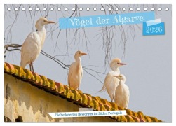 Cover-Bild zum Titel 'Vögel der Algarve (Tischkalender 2026 DIN A5 quer), CALVENDO Monatskalender' von 'Kathrin Voss'