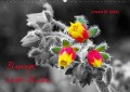 Blumige Licht-Blicke (Wandkalender immerwährend DIN A2 quer) - Ursula Di Chito