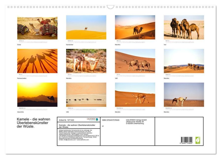 InsideView 5
