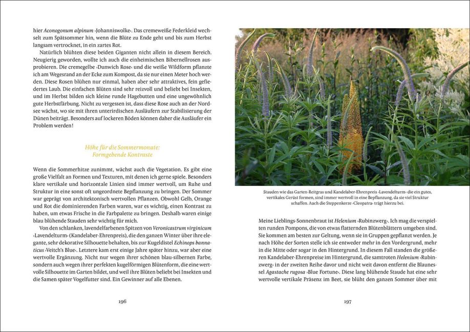 InsideView 3