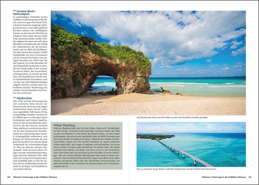 InsideView 10