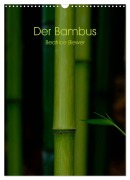 Cover-Bild zum Titel 'Der Bambus (Wandkalender 2026 DIN A3 hoch), CALVENDO Monatskalender' von 'Beatrice Biewer'