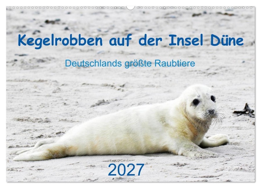Kegelrobben auf der Insel Düne (Wandkalender 2027 DIN A2 quer), CALVENDO Monatskalender - N. Wilhelm