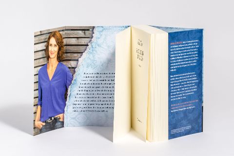 InsideView 5