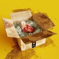 Cover-Bild zum Titel 'emotions' von 'Das Lumpenpack'