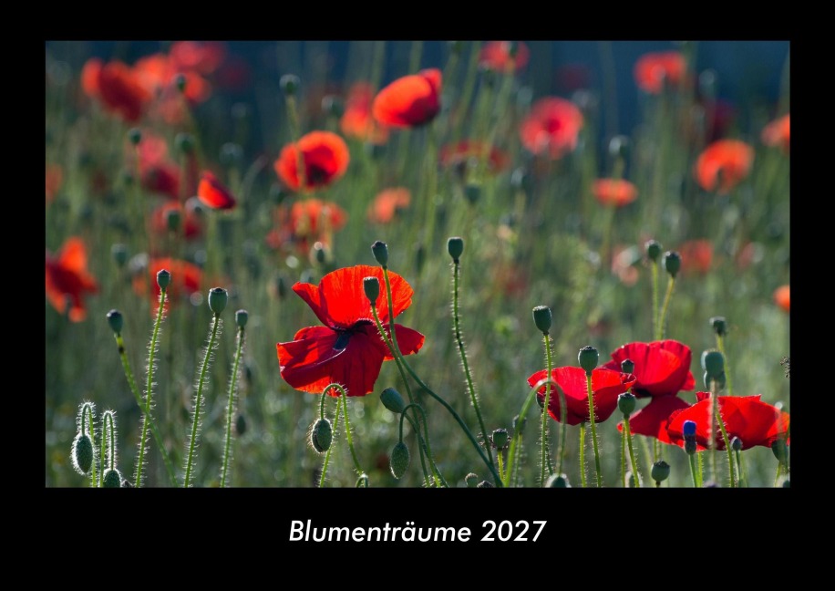 Blumenträume 2027 Fotokalender DIN A3 - Tobias Becker