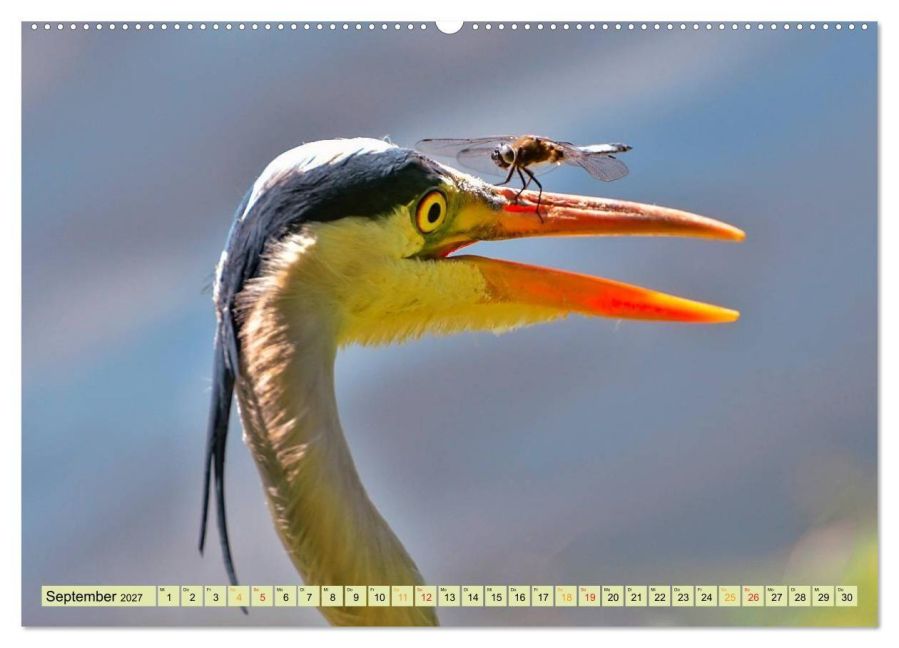 InsideView 13