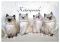 Katzenparade (Wandkalender 2025 DIN A2 quer), CALVENDO Monatskalender - Jennifer Chrystal