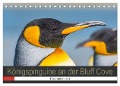 Königspinguine an der Bluff Cove (Tischkalender 2024 DIN A5 quer), CALVENDO Monatskalender - Norbert W. Saul